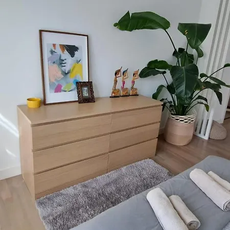 Apartment Con Suite, Zona De Trabajo Y Yoga Wifi Y Garaje